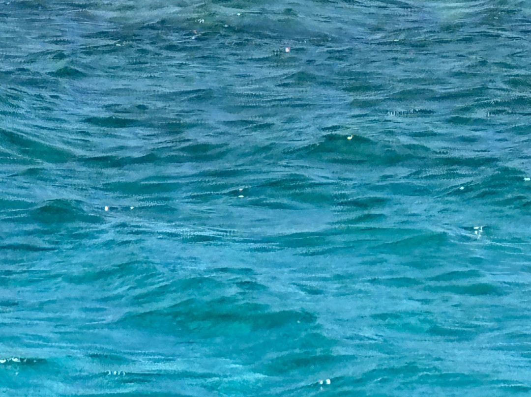 Stefanos Tours-Sissi必去景点