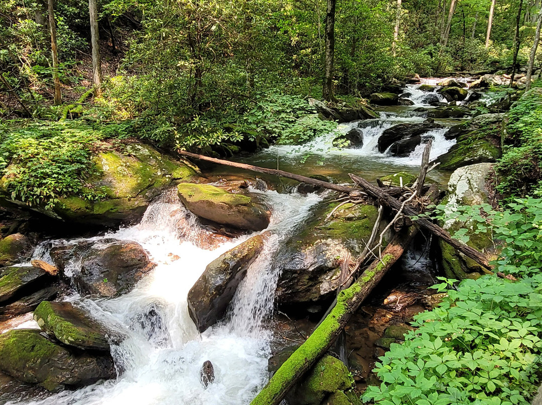 Anna Ruby Falls-海伦必去景点