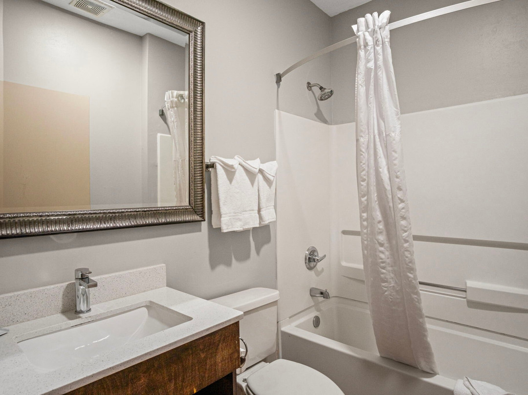 Sonesta Essential Hotel & Suites Kansas City/Blue Springs主图