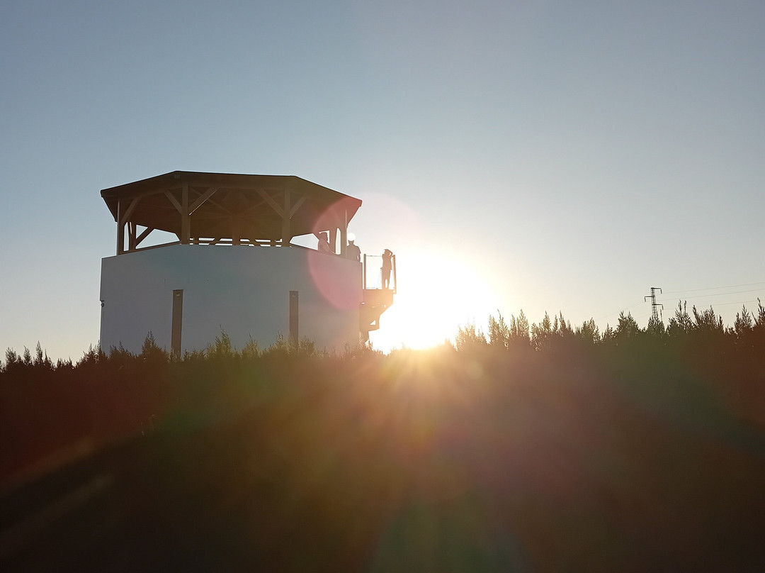 Laberintus Park-Mollina必去景点