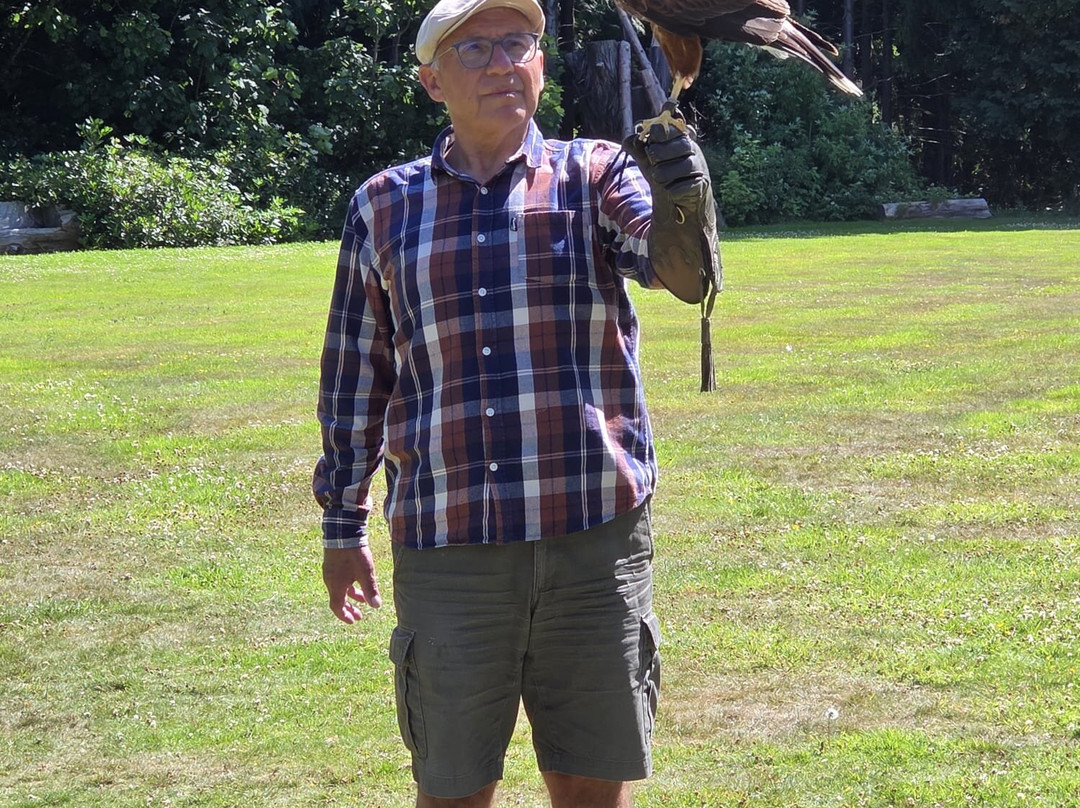 Dalhousie Castle Falconry-邦尼里格必去景点