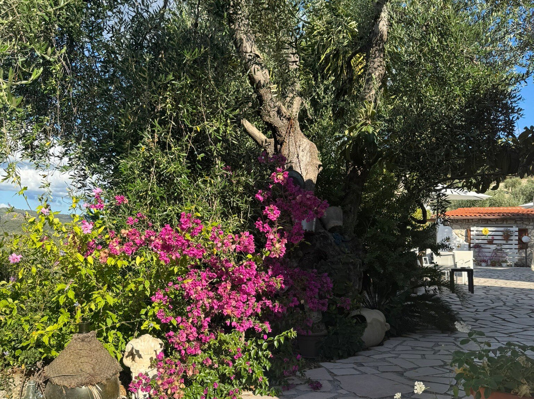 B&B Borgo Degli Ulivi主图