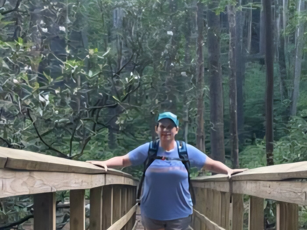 Blue Hole Falls-Hiawassee必去景点