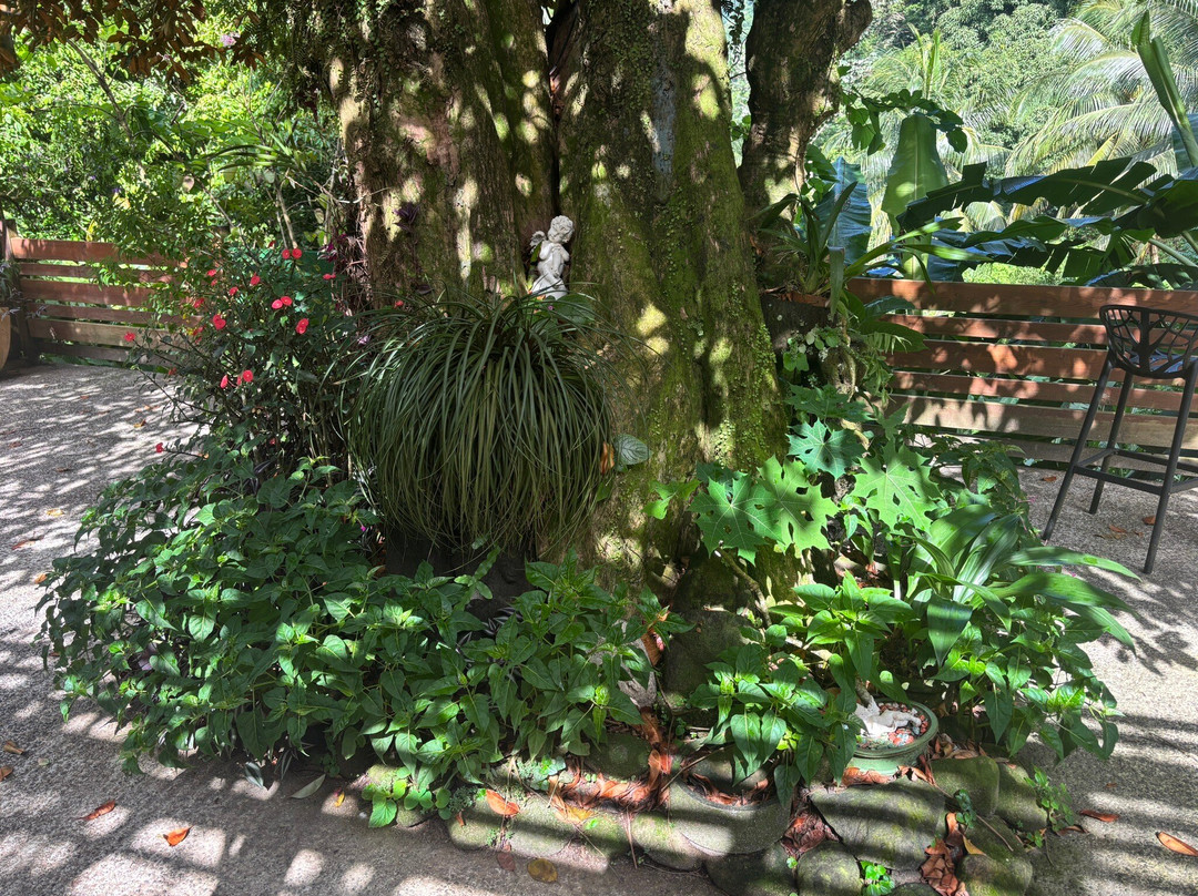 Le Relais de la Maison Rousse主图