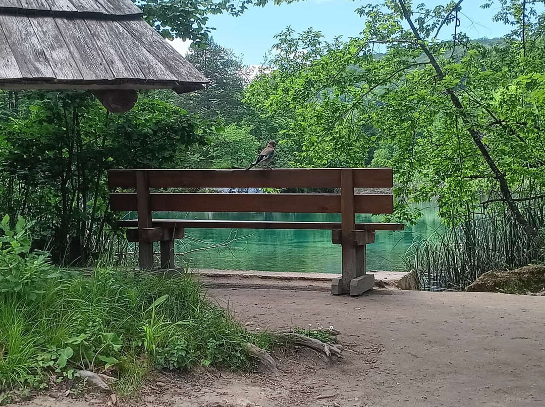 Plitvice Travel-十六湖必去景点