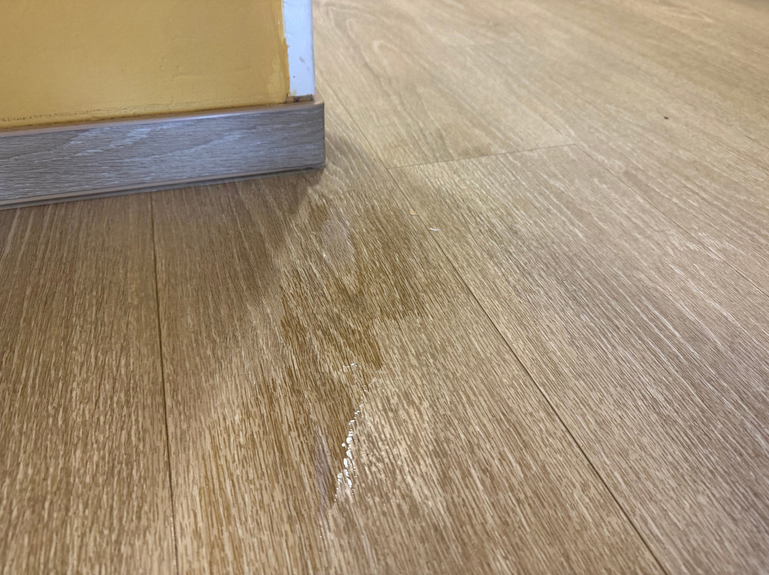 Hotel Garden Istra Plava Laguna主图