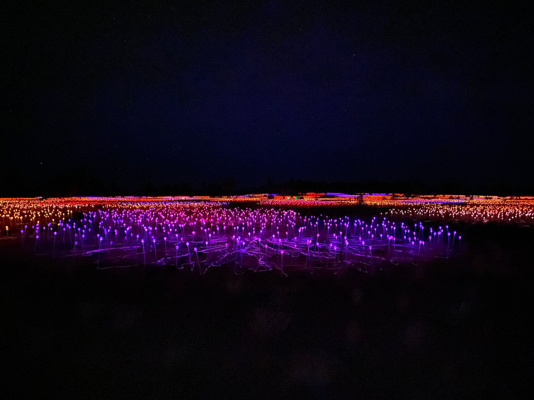Field of Light-乌鲁鲁-卡塔丘塔国家公园必去景点