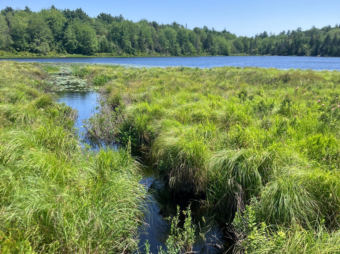 Rum Runners Trail-卢嫩堡必去景点
