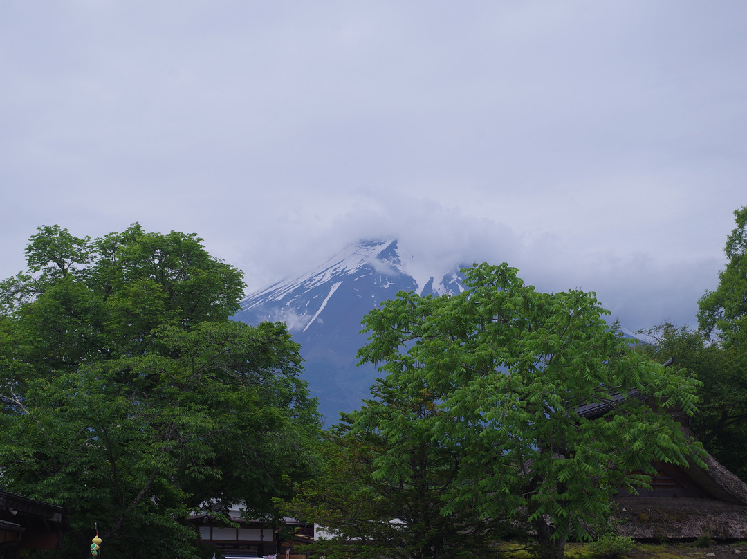 Mt. Fuji Subaru Line 5th Station-鸣泽村必去景点