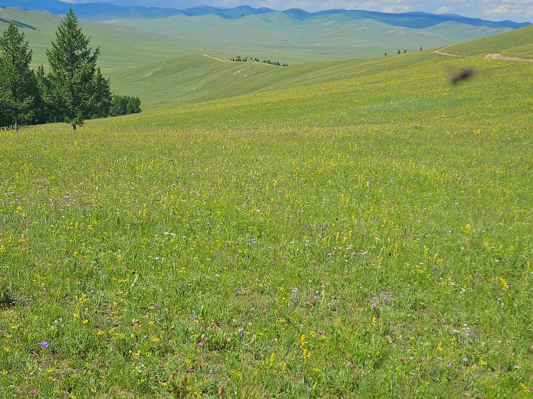 Discover Mongolia Travel-乌兰巴托必去景点