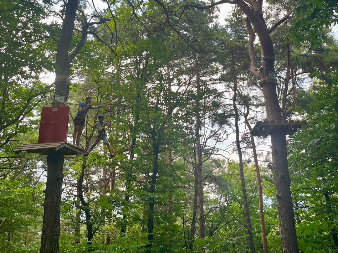 Wonderwood Spina Verde-Colverde必去景点