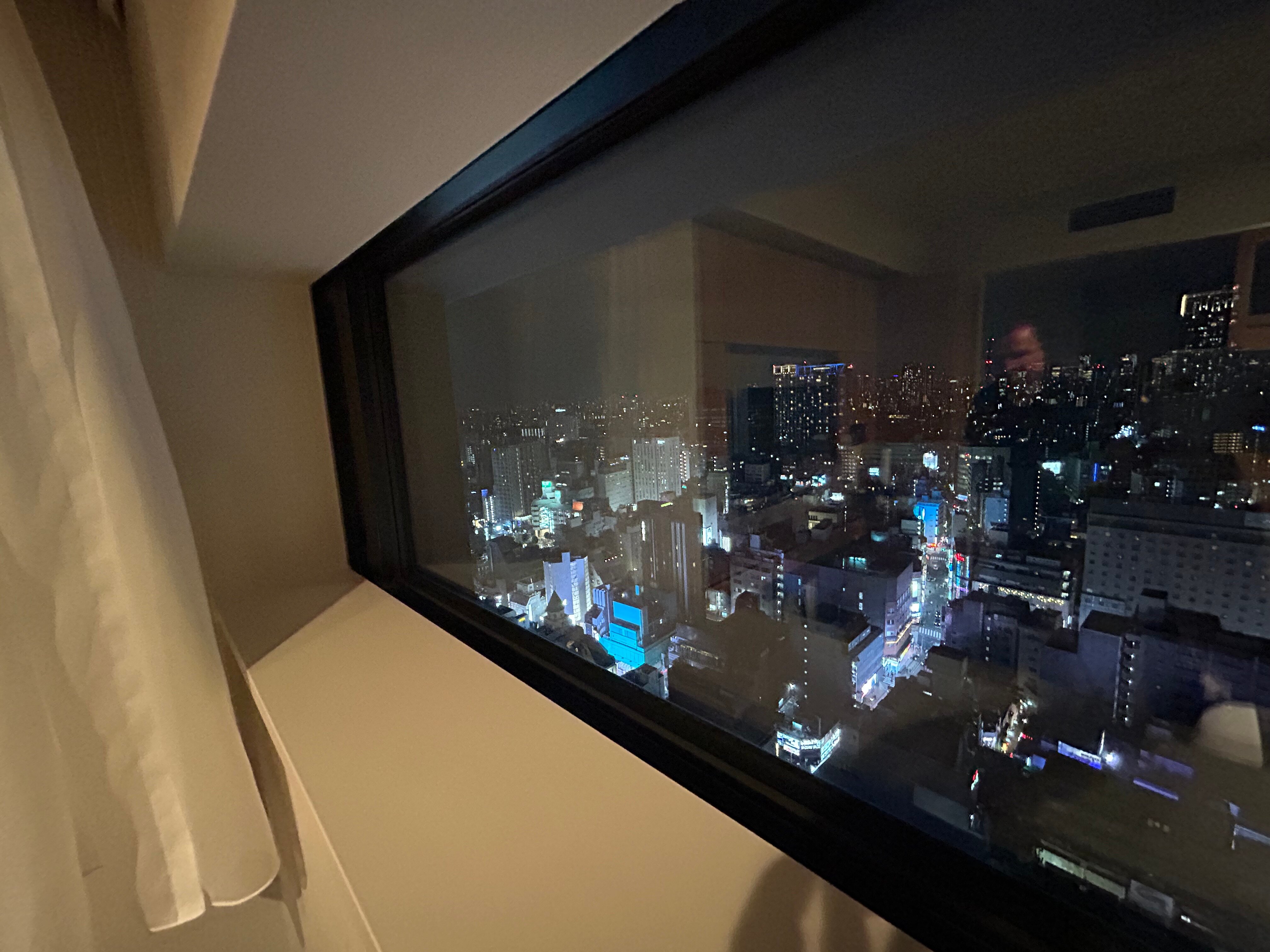 格拉斯丽新宿酒店-酒店景观