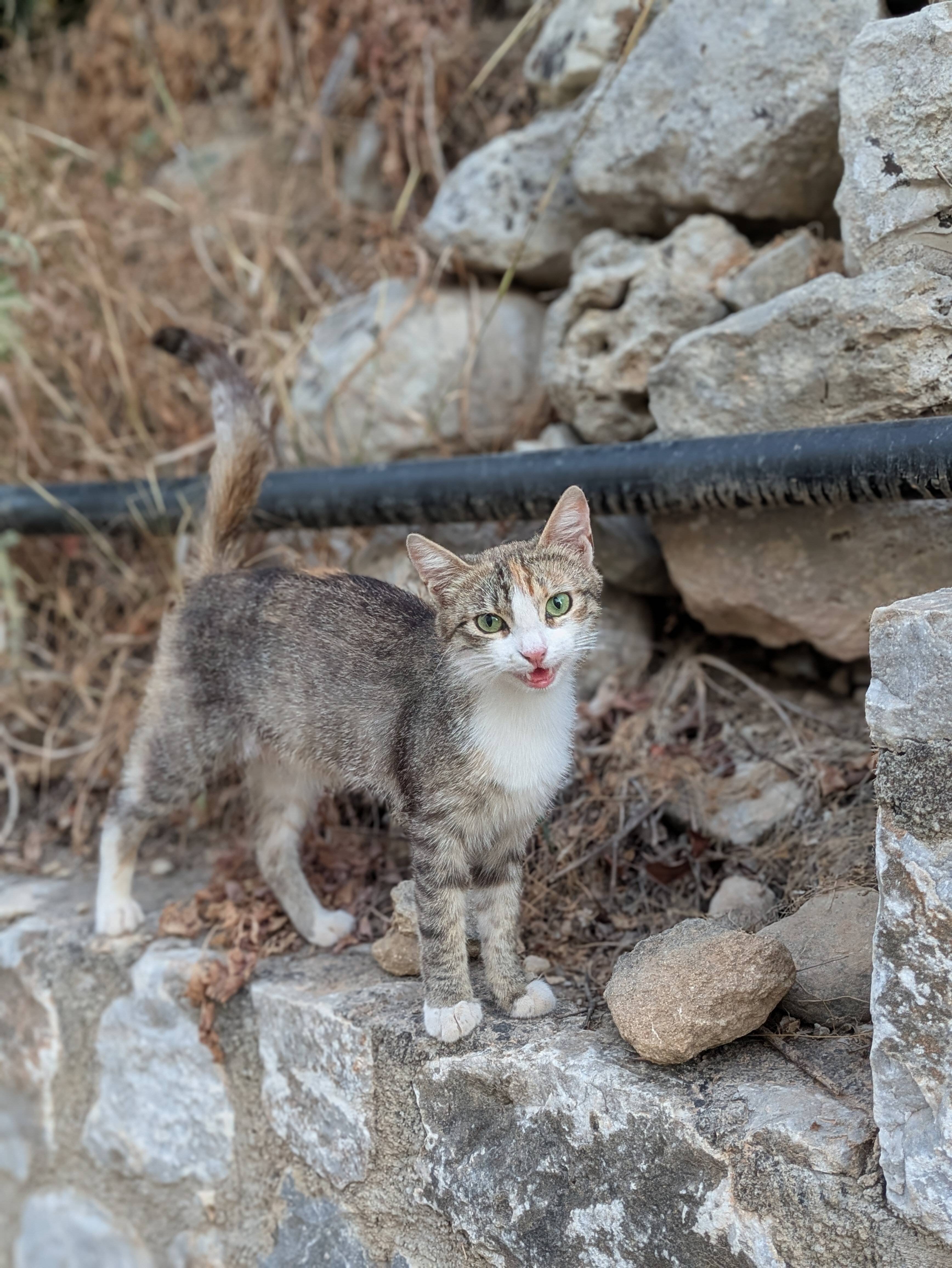 Almyrida Village & Waterpark-浴室