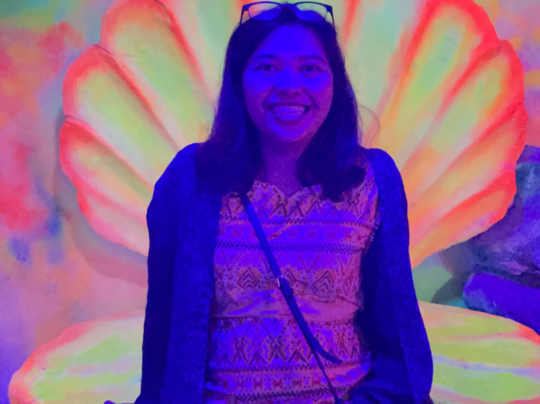 Lakbay Museo-帕塞必去景点