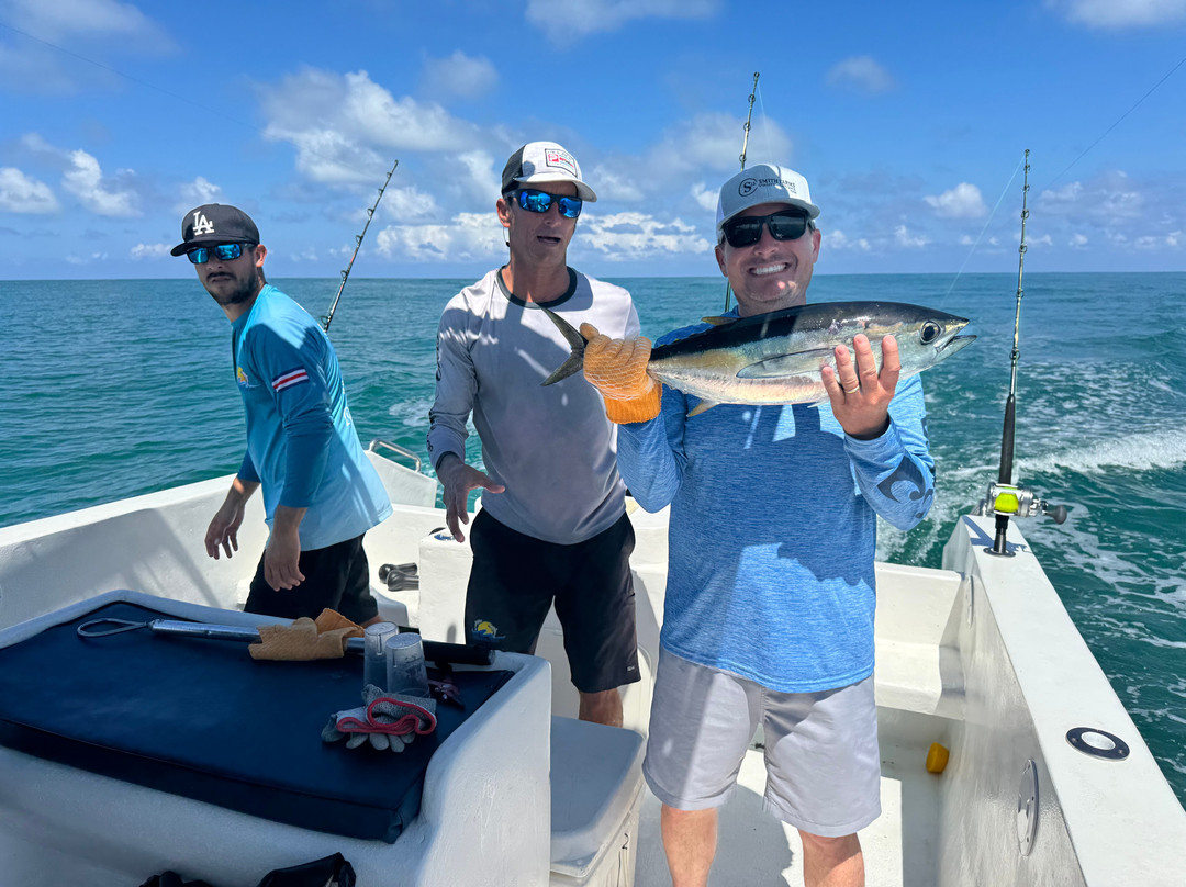 Dolphin Tours-乌维塔必去景点