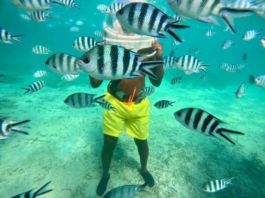 Aquacity Belle Mare Watersports-贝尔马尔必去景点