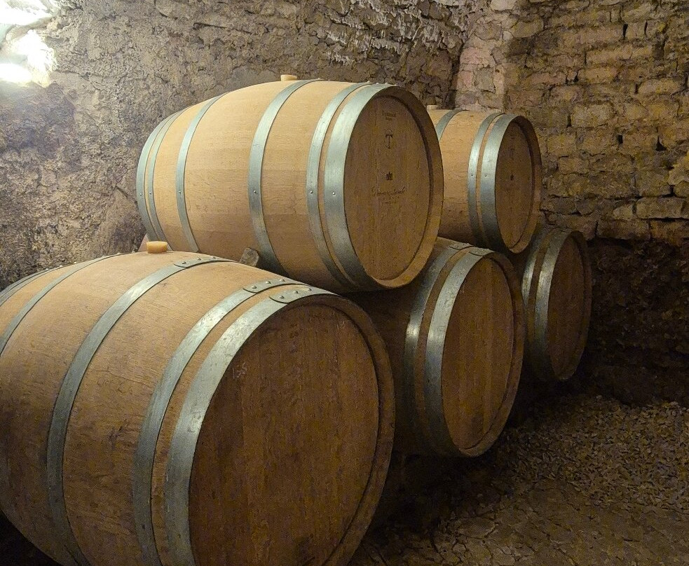 Domaine Laroche-Chablis必去景点