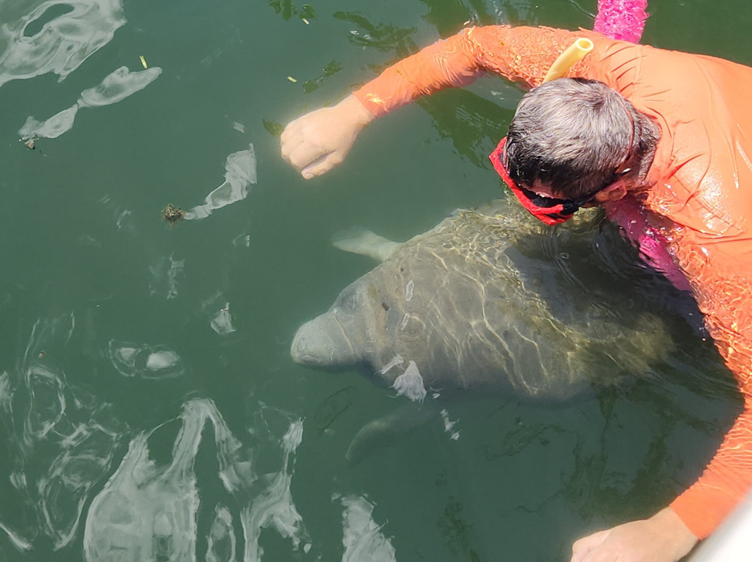 Nature Coast Manatee Adventures