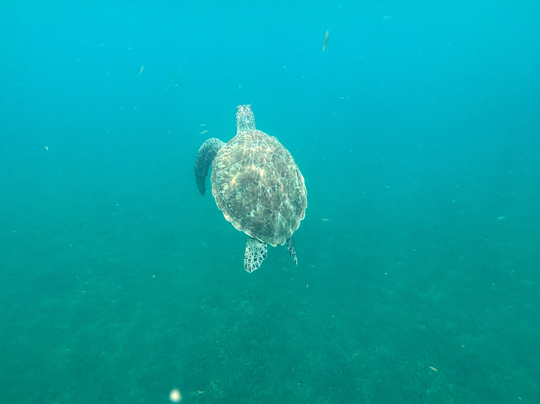 Caraibe Kayak-Bouillante必去景点