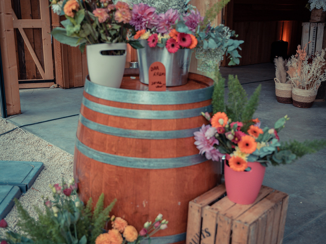 Le Manoir des Cedres主图