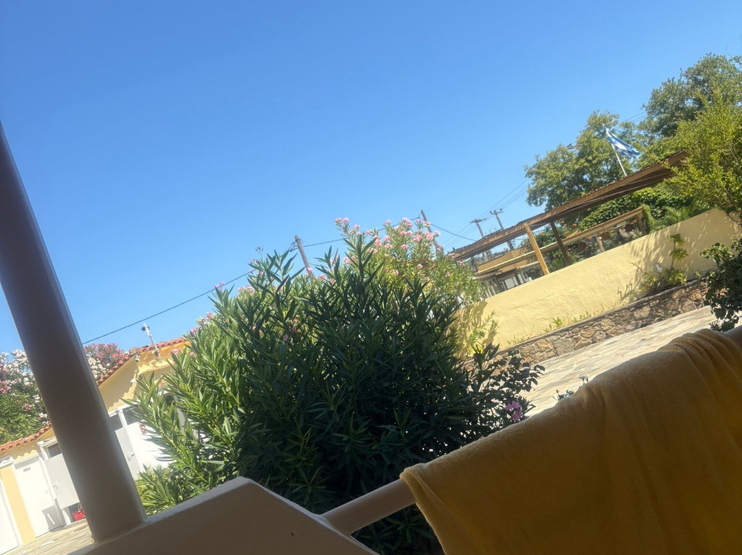 Roulla Studios主图