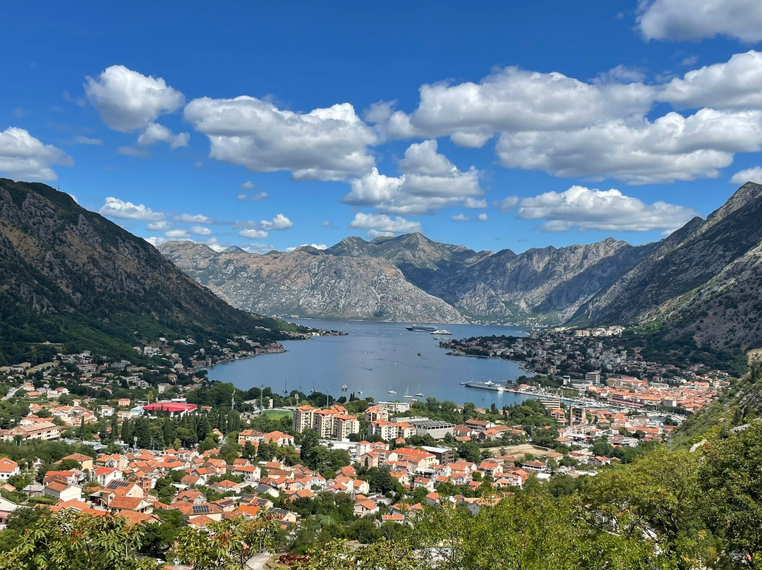 Tuk Tuk Montenegro-科托尔必去景点