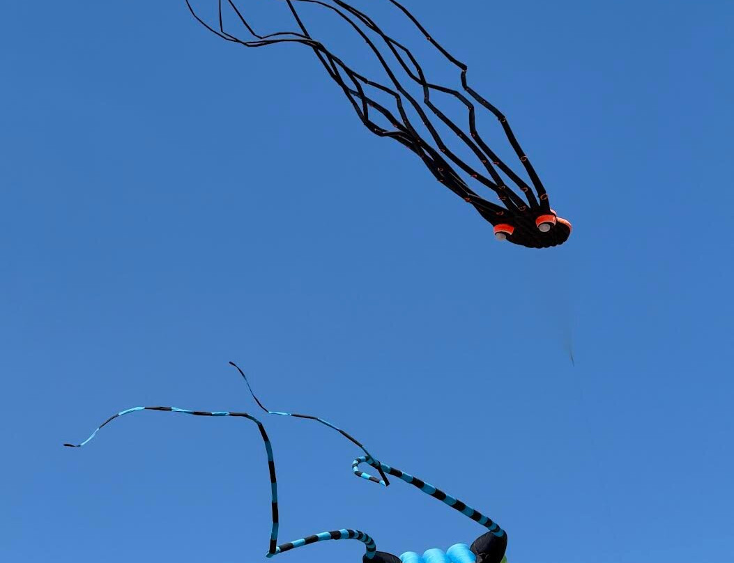 Parksville Community Park and Skate Park-帕克斯维尔必去景点