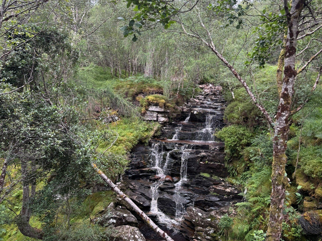 Corrieshalloch Gorge National Nature Reserve-阿勒浦必去景点