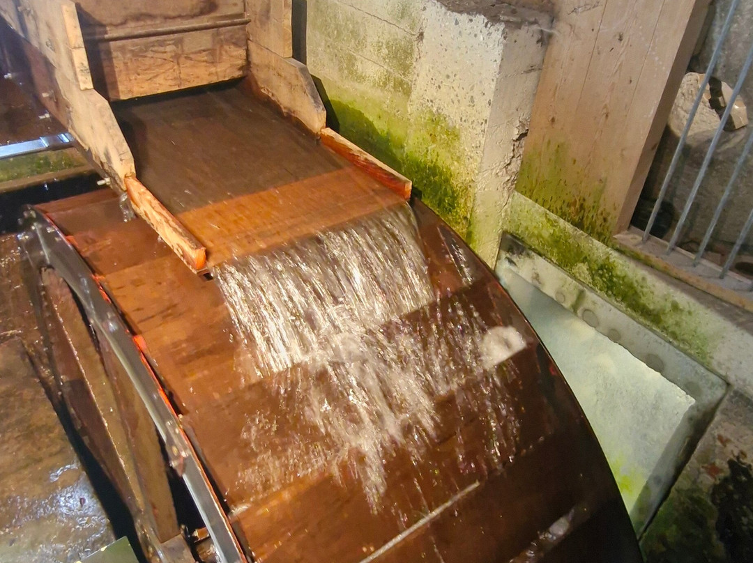 The Town Mill-莱姆里杰斯必去景点