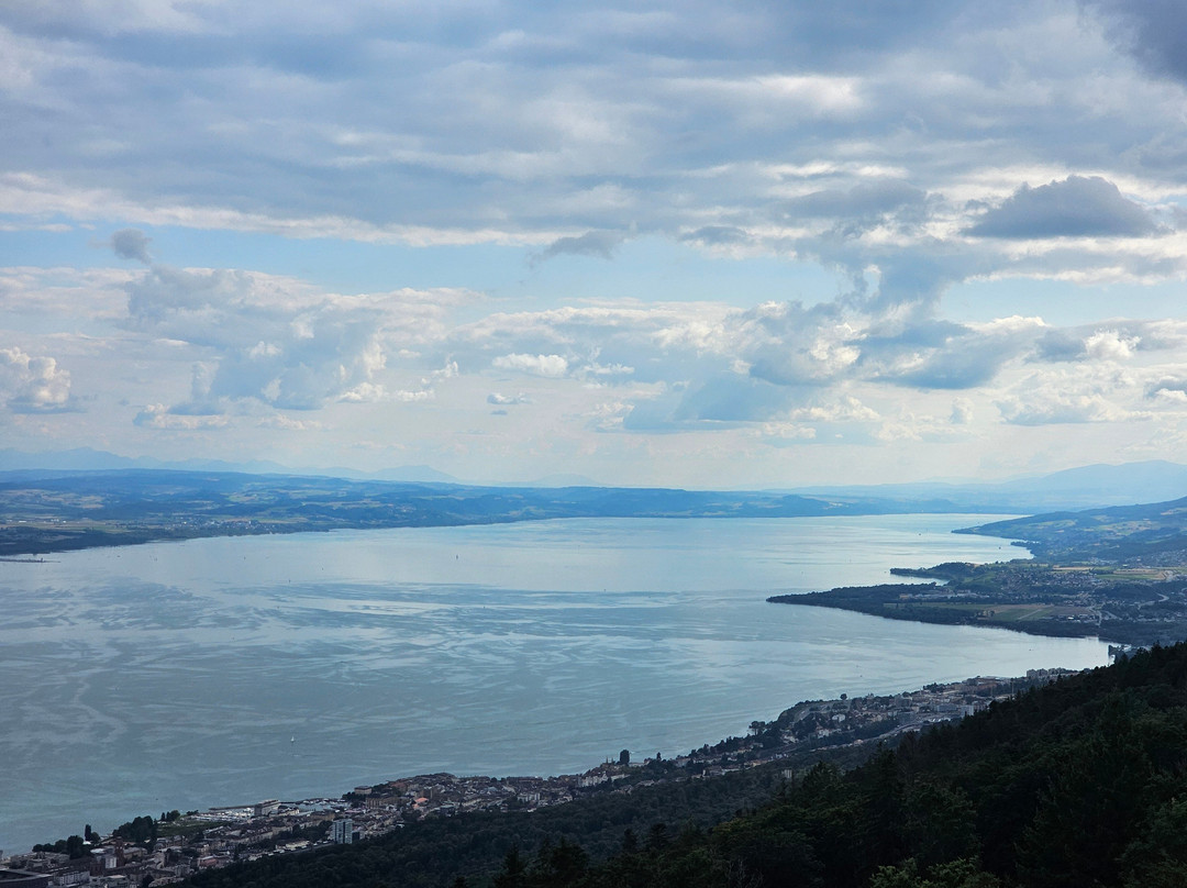 Parc Aventure Chaumont-Chaumont-de-Pury必去景点