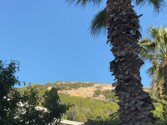 Poseidonia Hotel Apartments主图