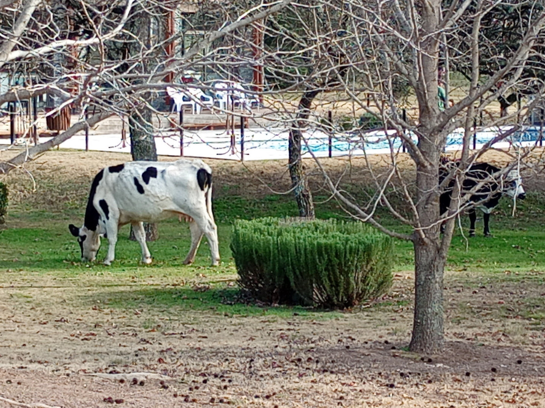 Piedras Del Sol主图