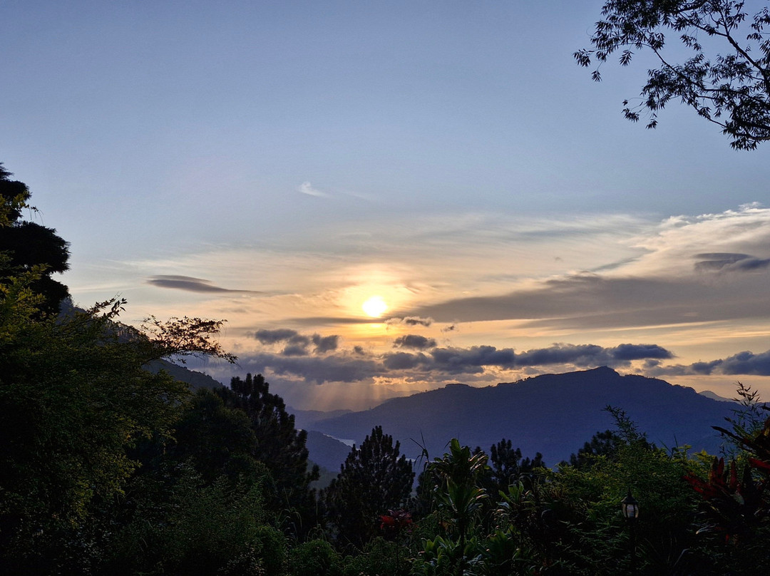 Highgrove Estate By Ishq主图