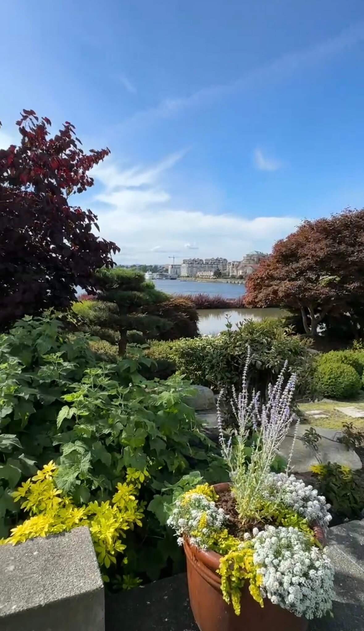 Inn at Laurel Point-酒店景观