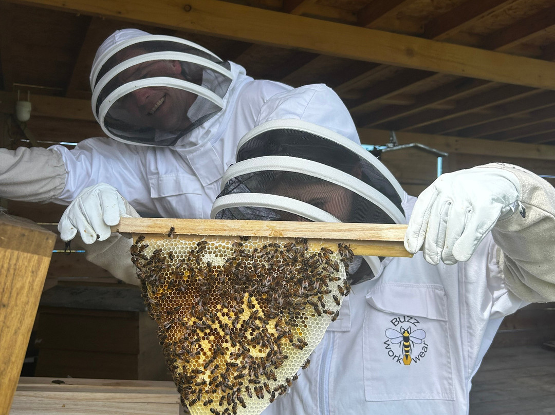 Main's Apiaries-丹弗姆林必去景点