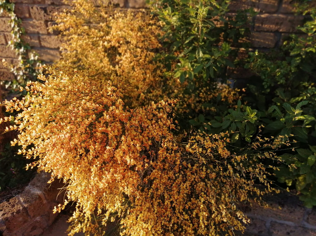 B&B Villa Milena主图