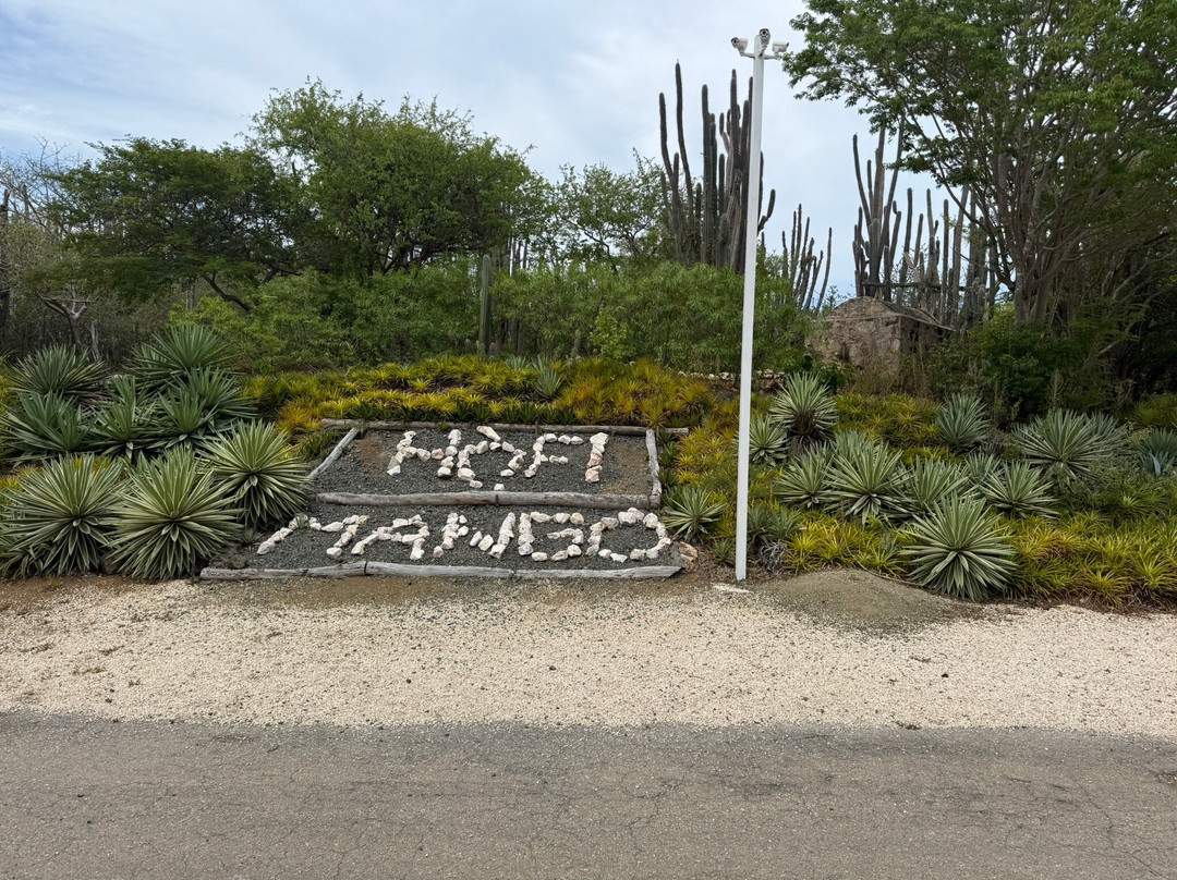 Hòfi Mango-威廉斯塔德必去景点