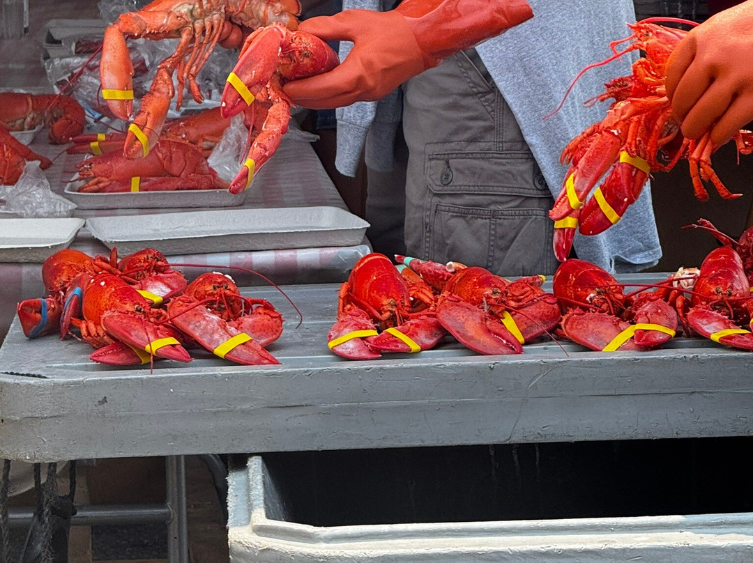 缅因州龙虾节-罗克兰必去景点