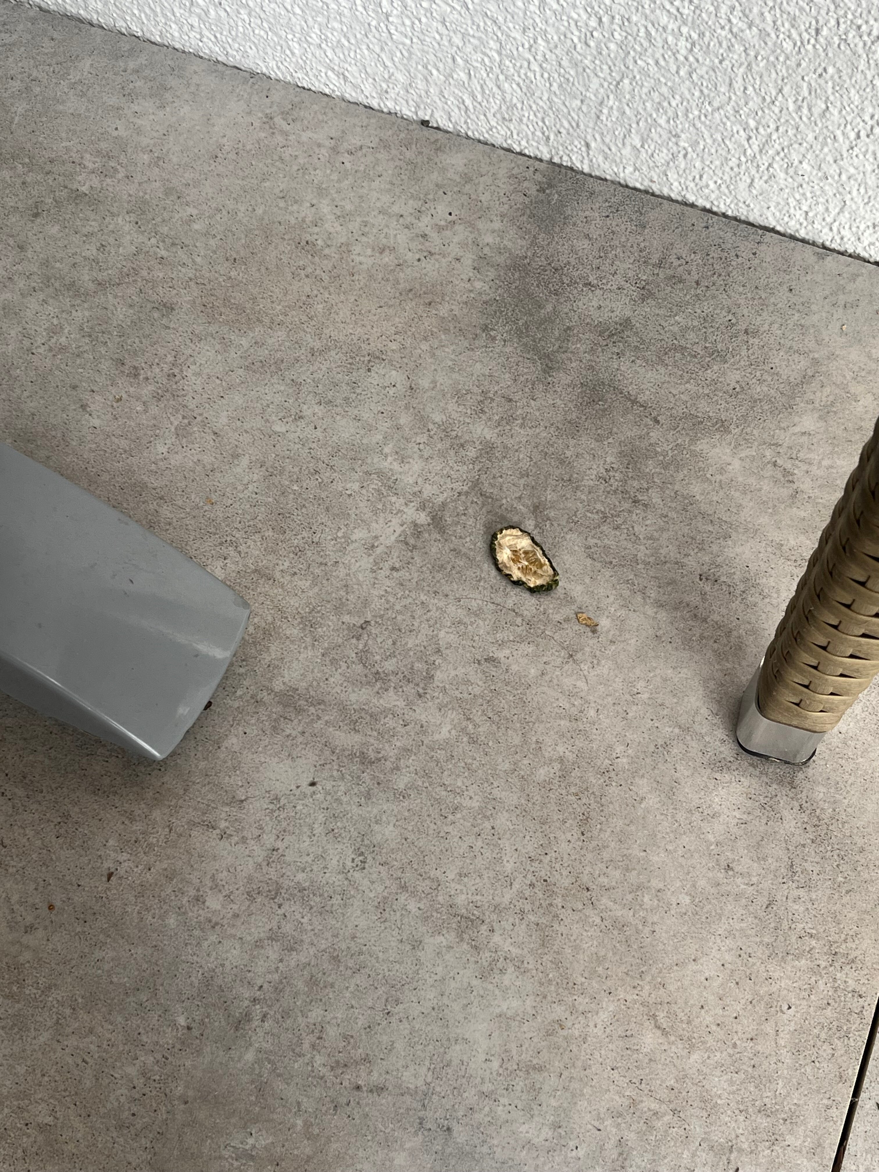 Wellnesshotel Hohenrodt ****-官方