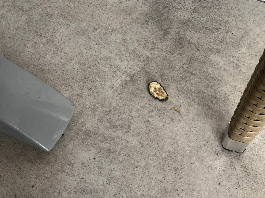 Wellnesshotel Hohenrodt ****主图