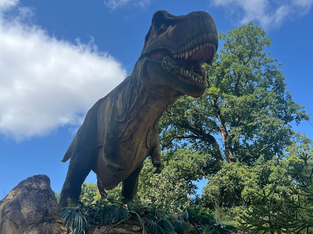 Safari Lodges At West Midlands Safari Park主图