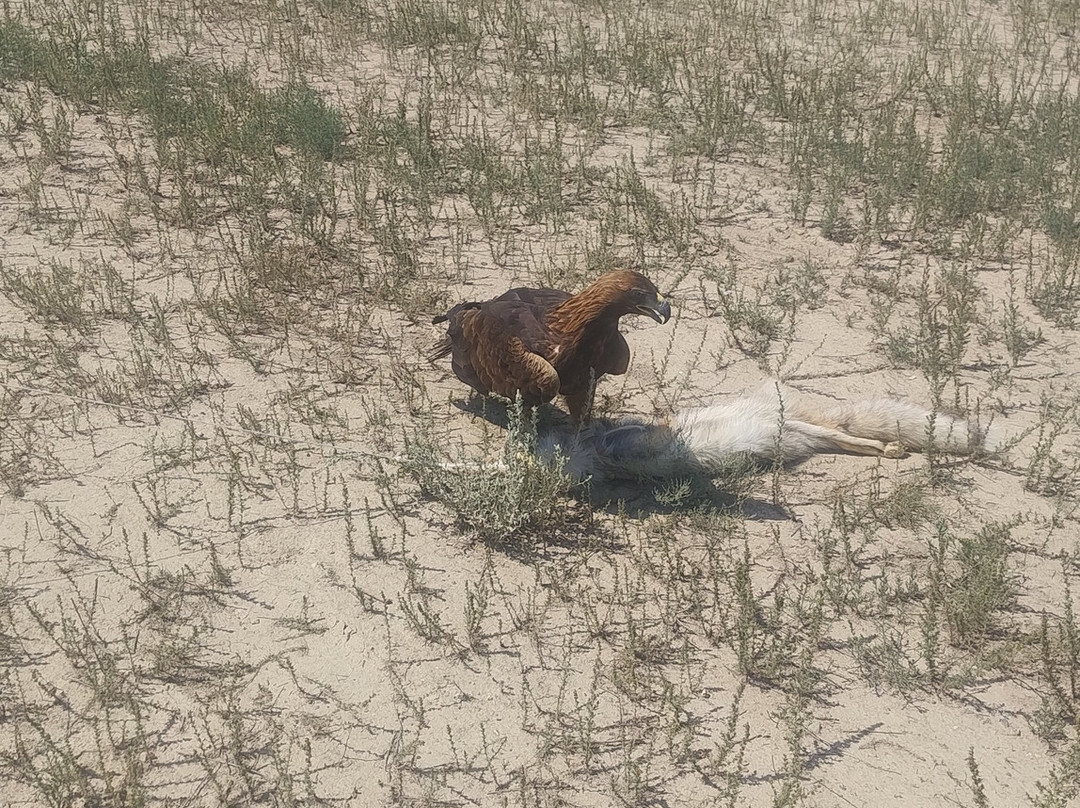 Kyrgyz Guide-比斯凯克必去景点