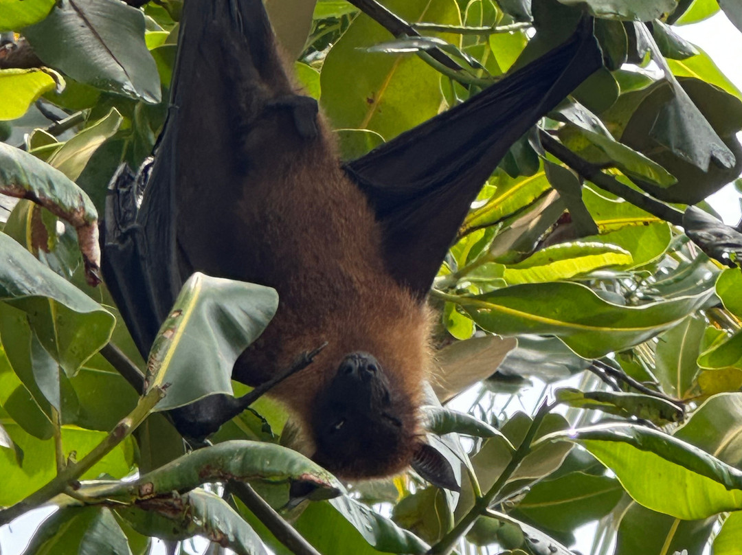 古丽都岛度假村主图