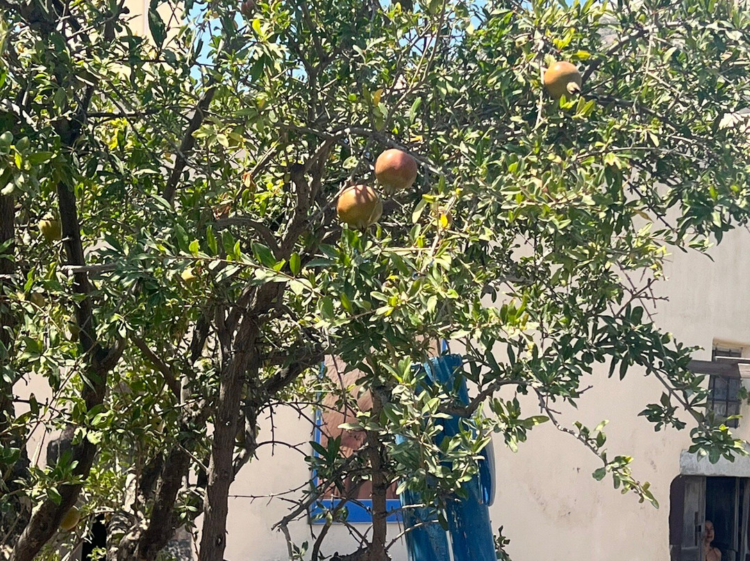 艺术空间-圣托里尼必去景点