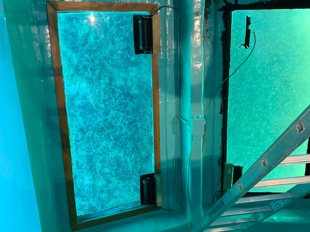 Athos Sea Cruises-Ouranoupolis必去景点