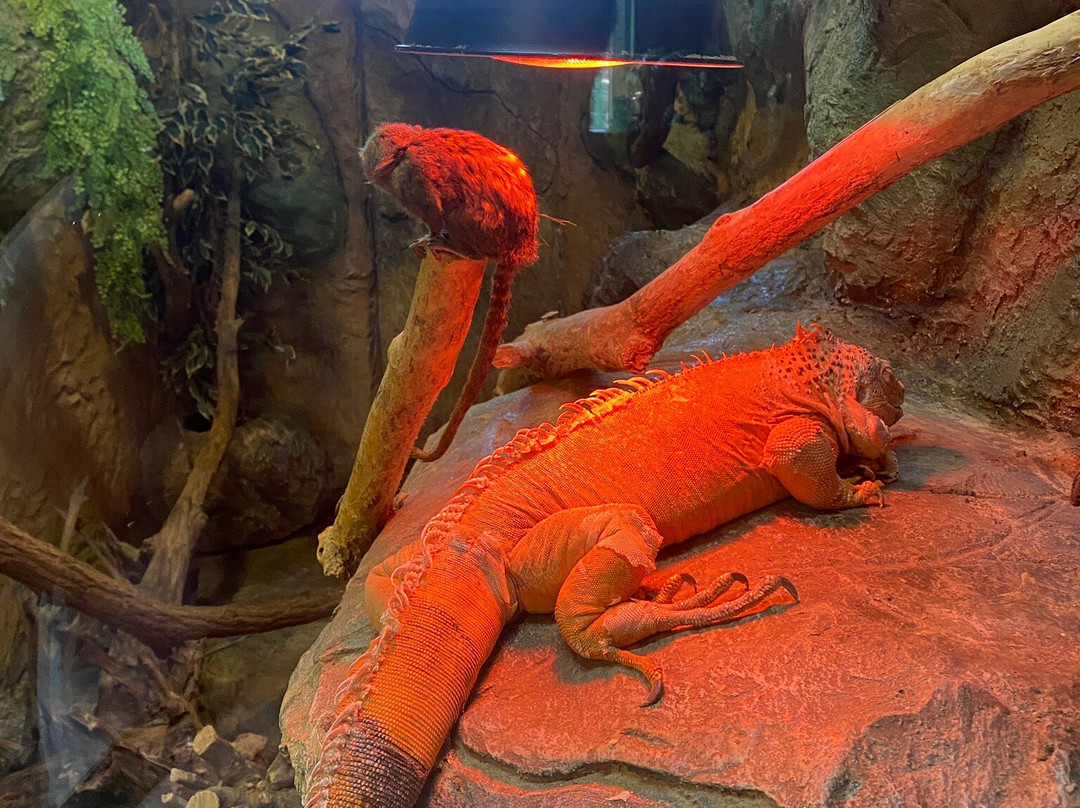 Sikalu ZOO-Radenci必去景点