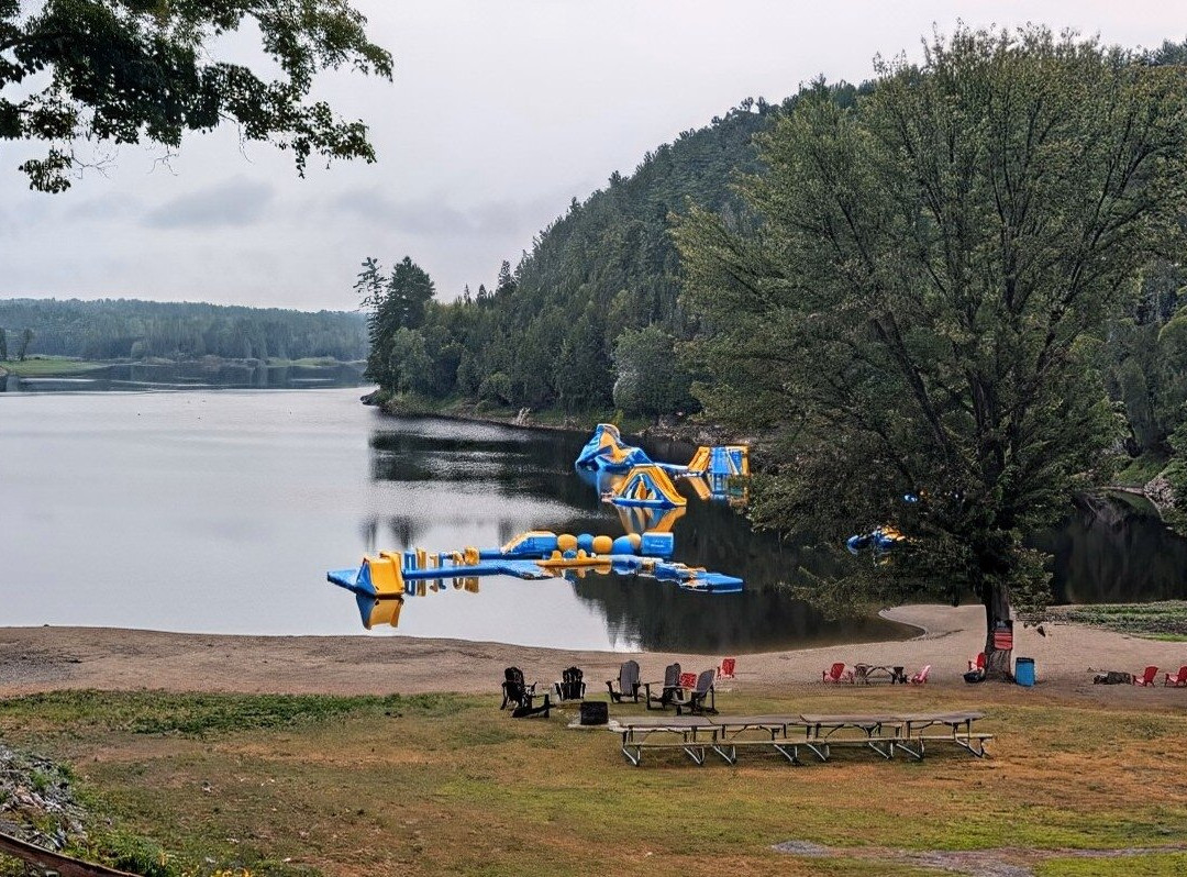 Wilderness Tours-Foresters Falls必去景点