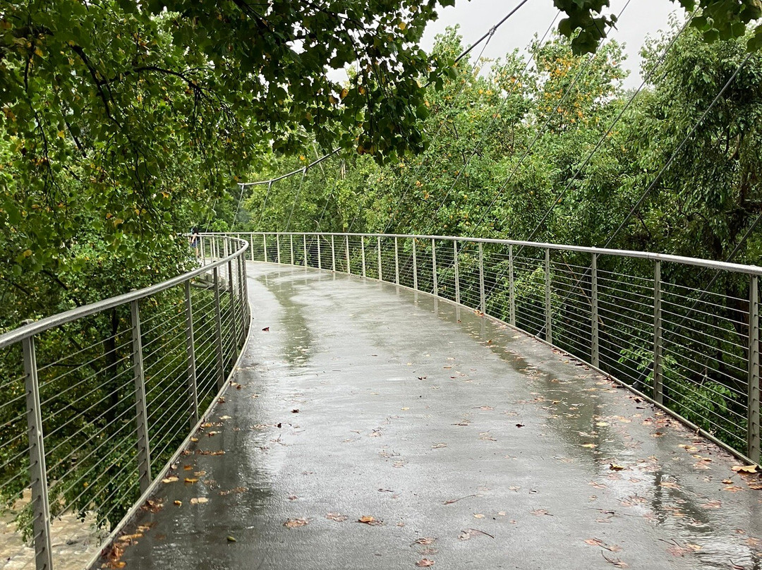 Liberty Bridge-格林维尔必去景点