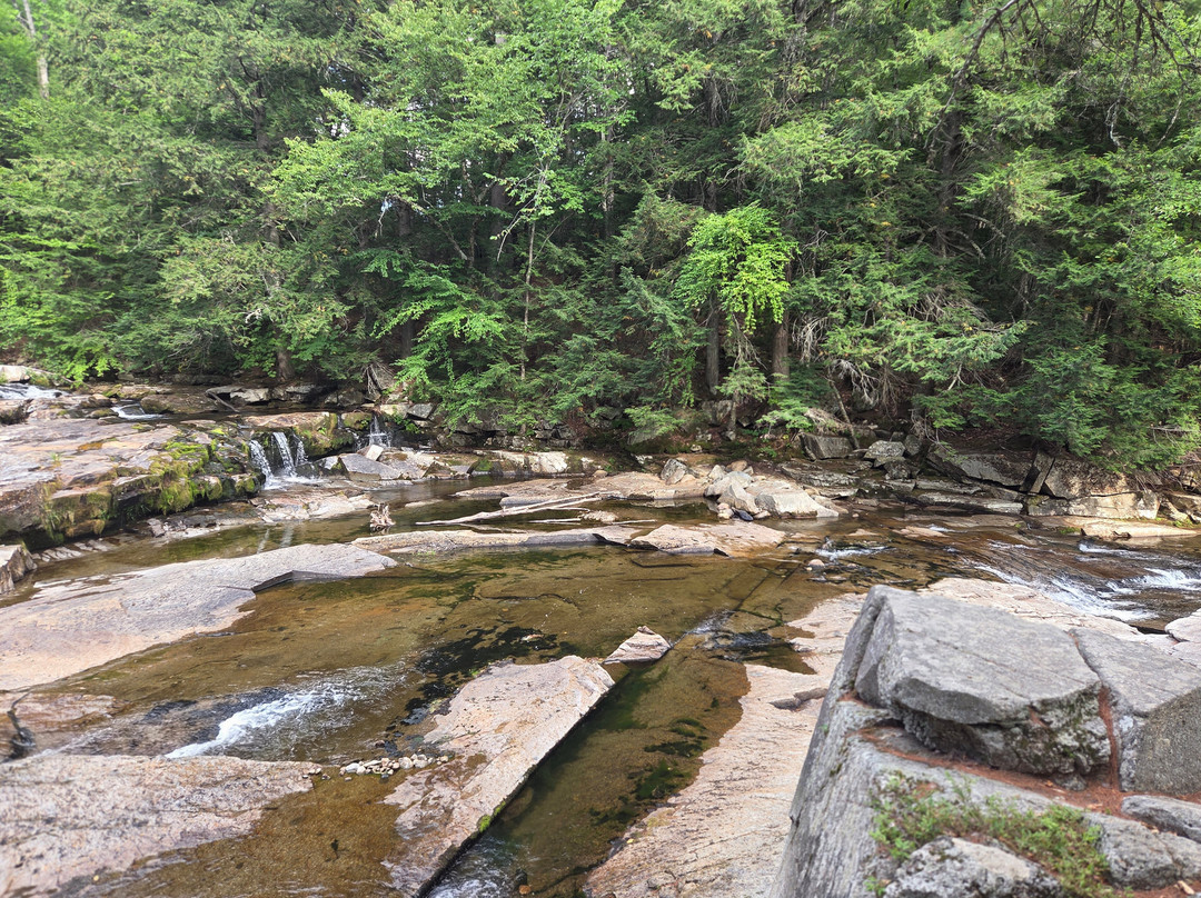 Jackson Falls-杰克逊必去景点