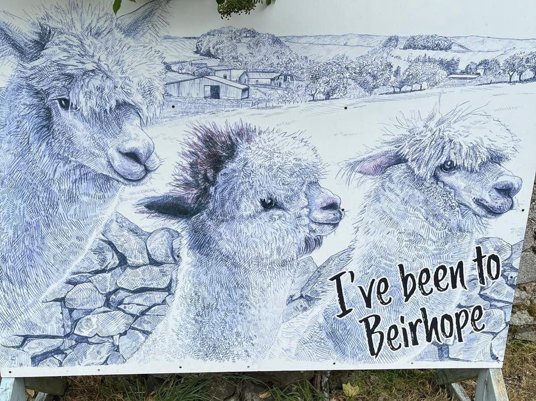 Beirhope Alpacas-Hownam必去景点